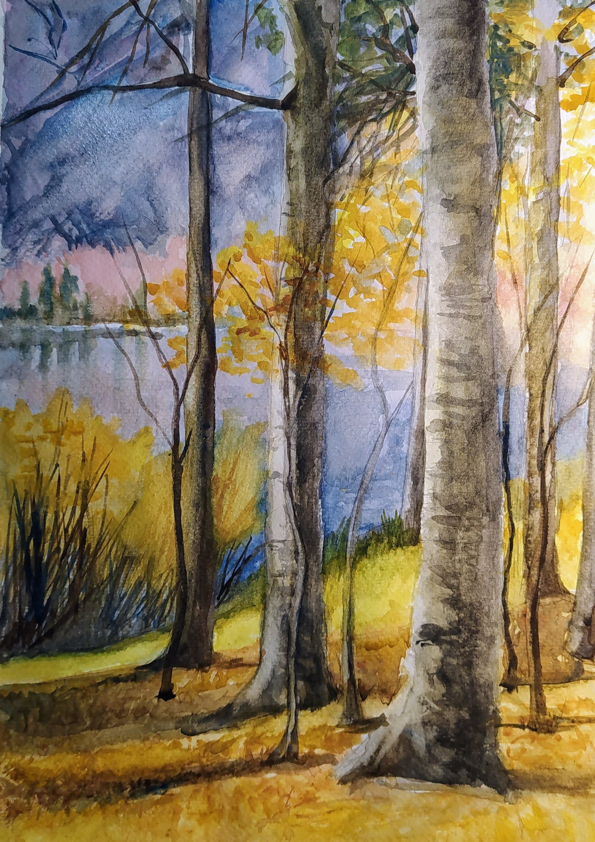 Paisaje 3