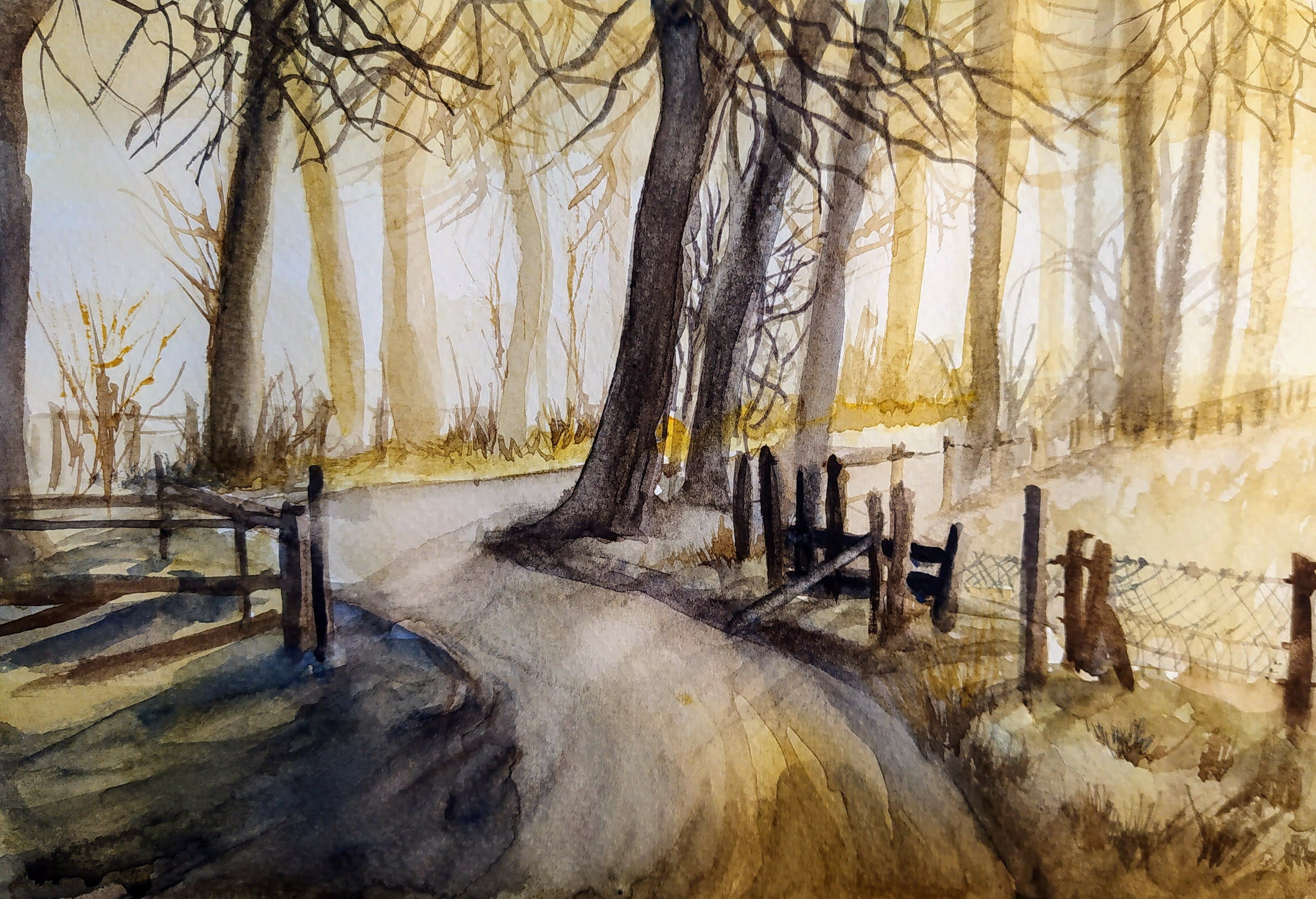 Paisaje 2