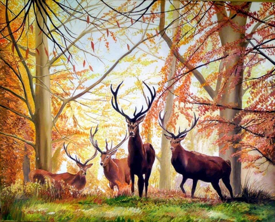 Ciervos en Otoño