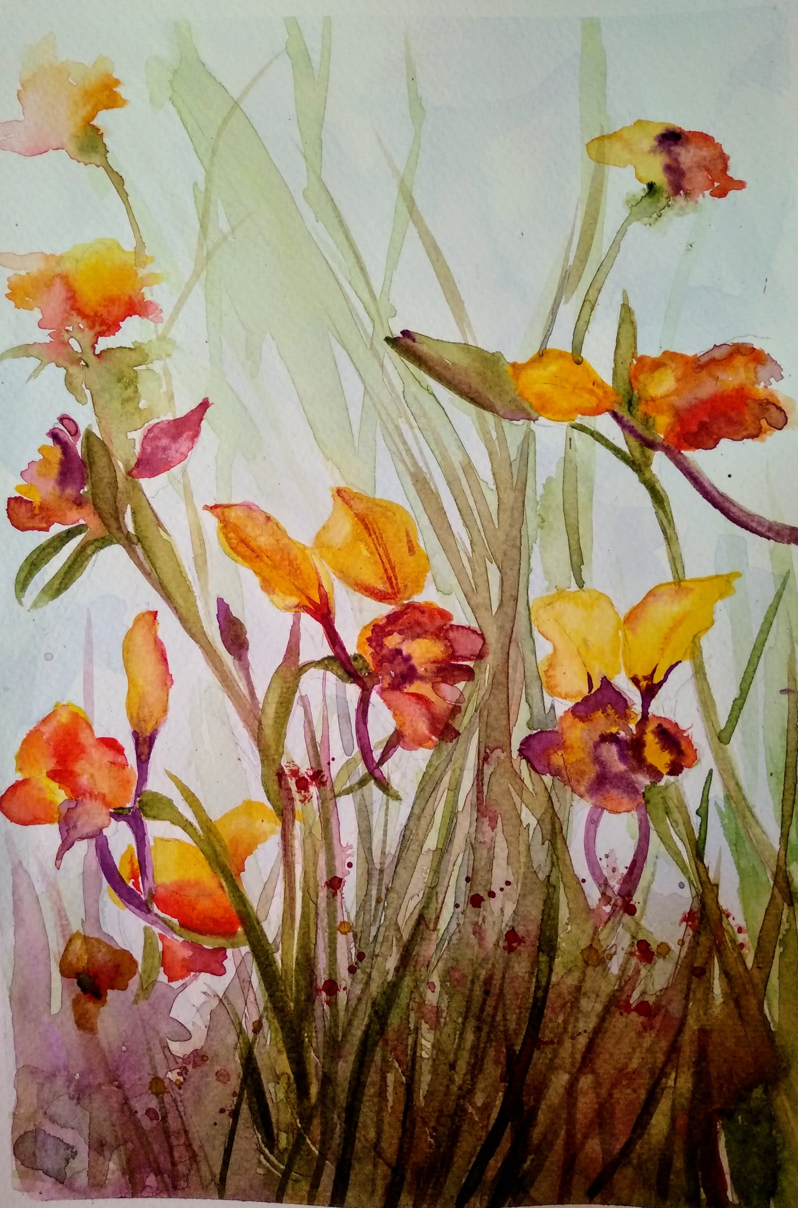 Flores Silvestres
