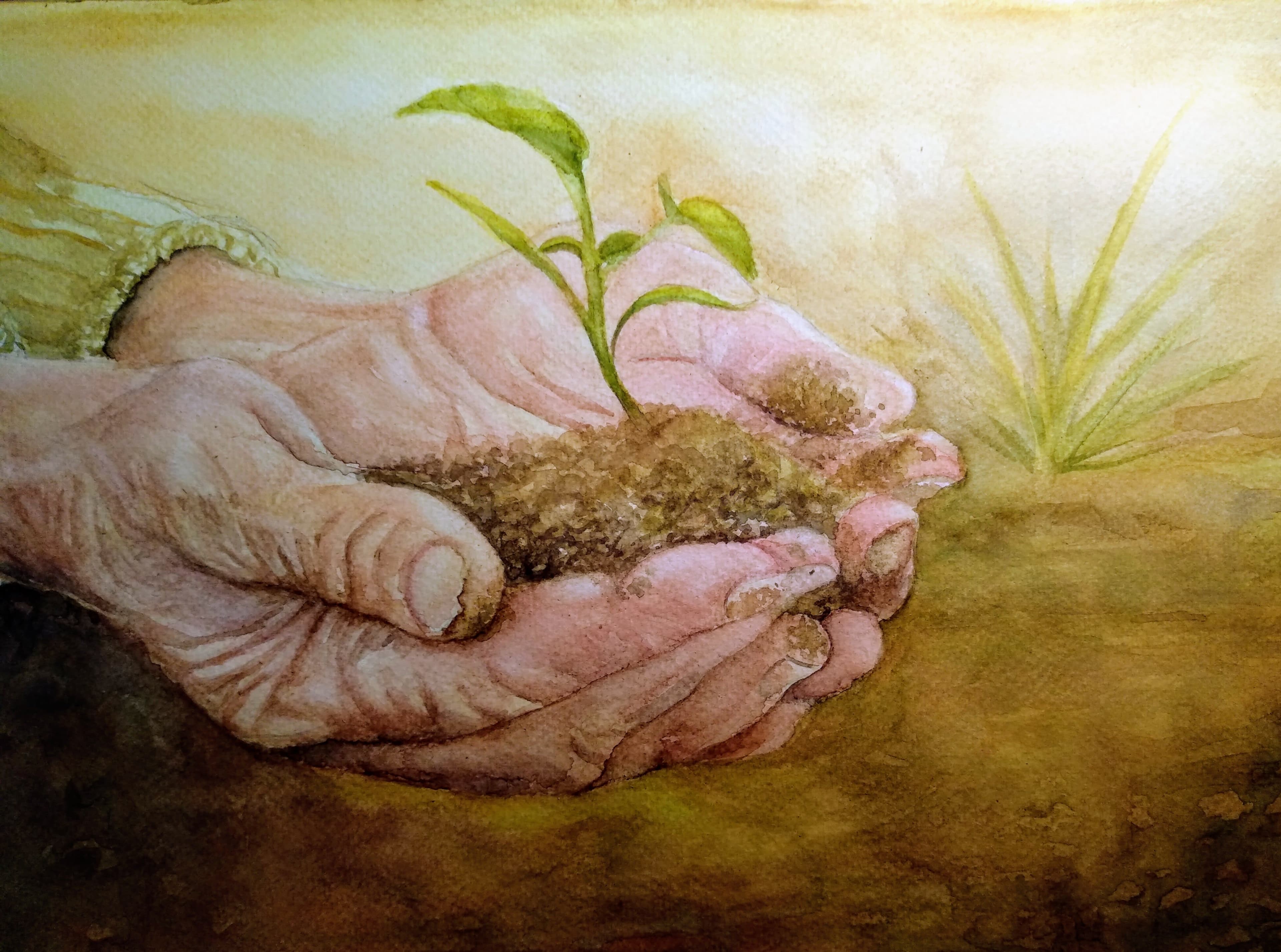 La Siembra