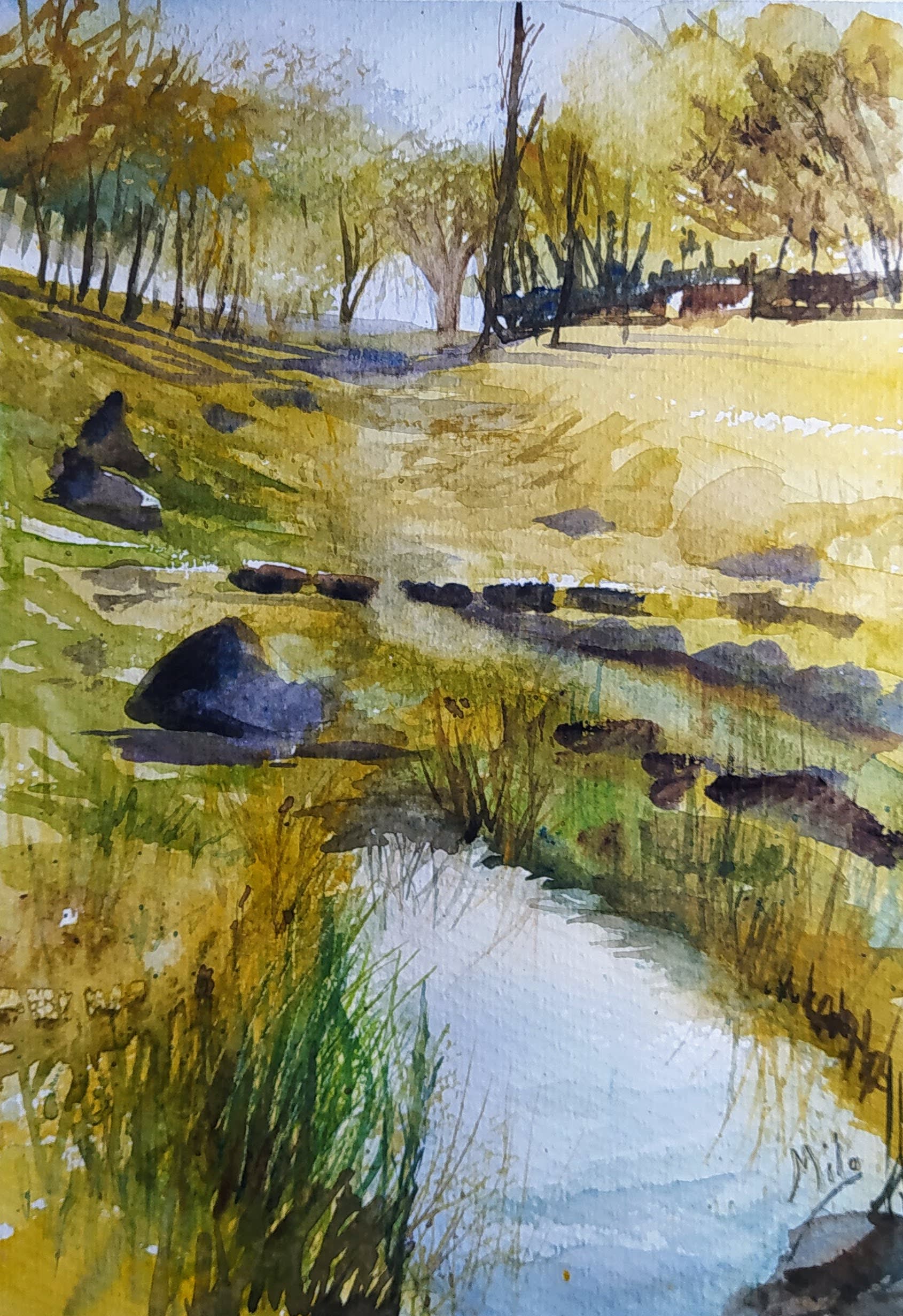 Paisaje 5